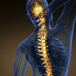 Back Pain: Causes, Symptoms & Natural Treatment at House of Nature Medical Center in Abu Dhabi