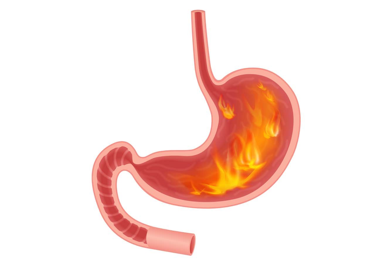 Ayurveda Digestive balance in Abu Dhabi