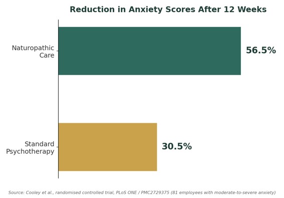 Naturopathy for Stress and Anxiety