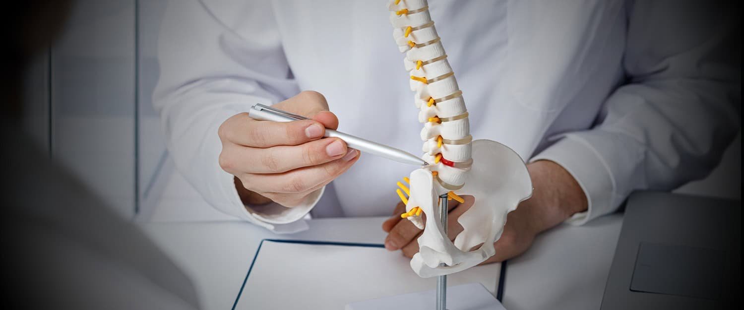 The UAE life is long-distance travel and long working hours; thereafter, the UAE life requires a healthy and resilient musculoskeletal system. In the UAE, chiropractic care is often combined with lifestyle and ergonomic coaching. This includes: Workstation Ergonomics: Modifying the height of your chair and screen to facilitate the S-curve of your spine. Proactive Spine Health in the UAE