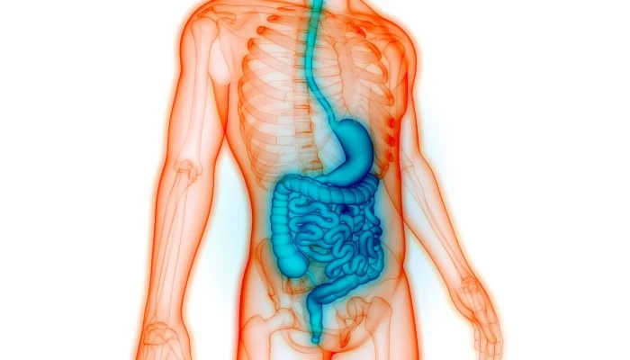 Acupuncture for Digestive Health