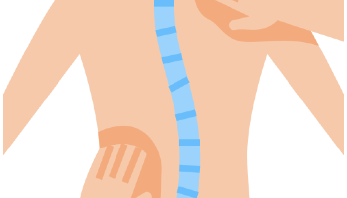Chiropractic