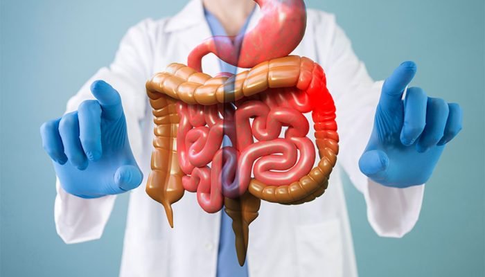 internal vs general medicine